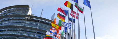 Press Release: Civil Society and MEPs Reject Far-Right Manipulation of Women’s Rights